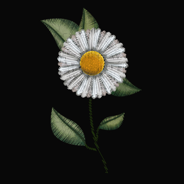 鲜艳的洋甘菊花植物刺绣在黑色的背景图片下载