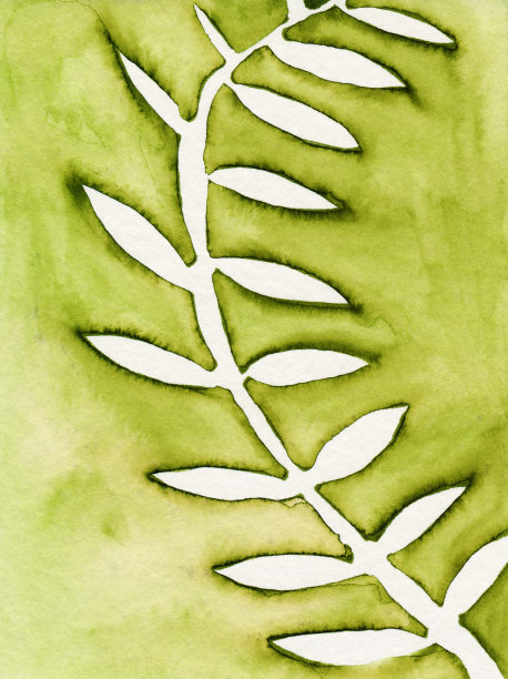 绿色背景与白色叶子手绘水彩图片下载