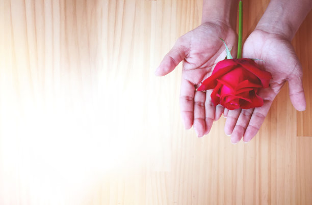 女士衣服挂在商店品牌名称图片下载