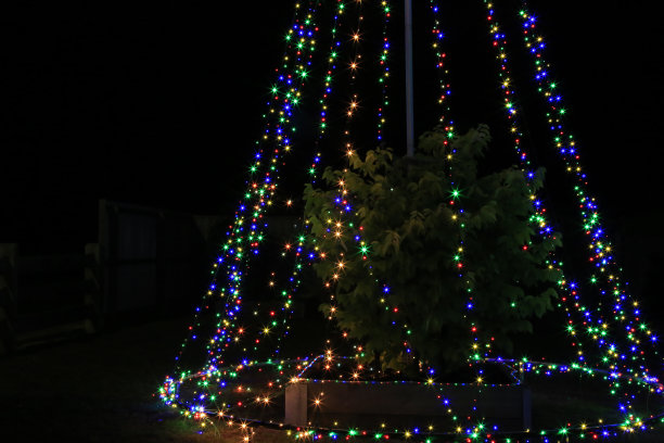 圣诞灯图片下载