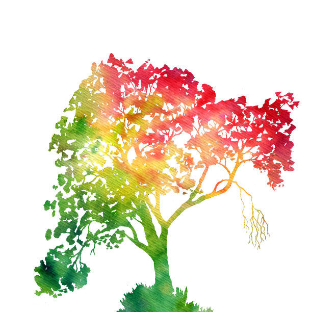 绿叶绿树的剪影图片下载