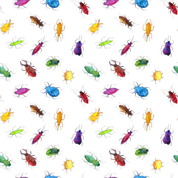 无缝图案用水彩画昆虫素材图片
