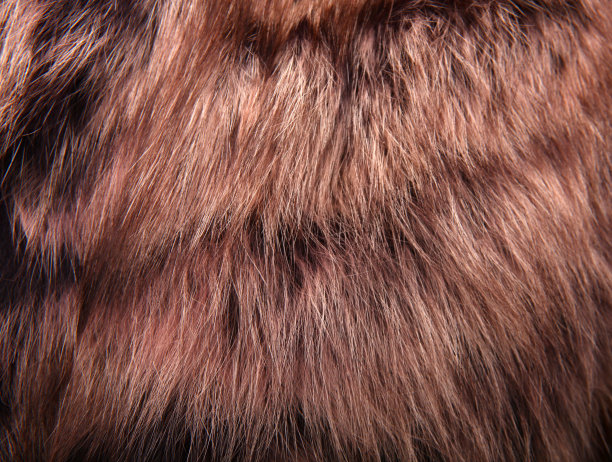 天然羊毛质地动物图片下载