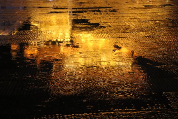 金马翡翠鸡广场的雨夜。图片下载
