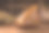 端午节图片素材ID：304099662