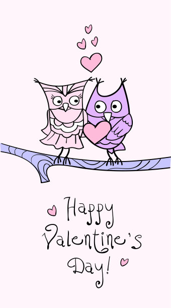 有爱的猫头鹰的情人节卡片。图片下载