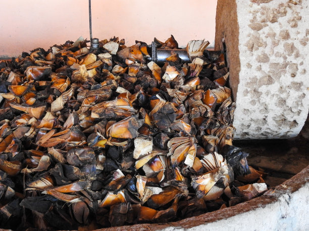 瓦哈卡图片素材ID：304107486