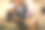 小腿的特写显示舌头图片下载