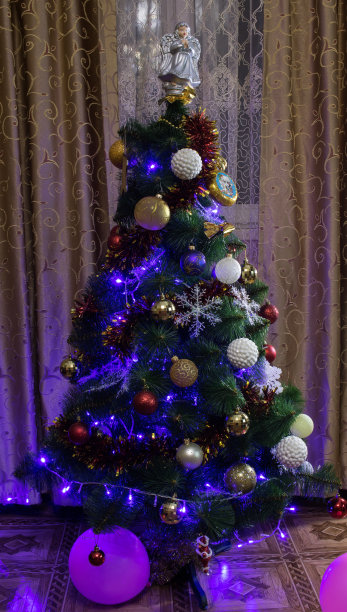 圣诞树图片下载