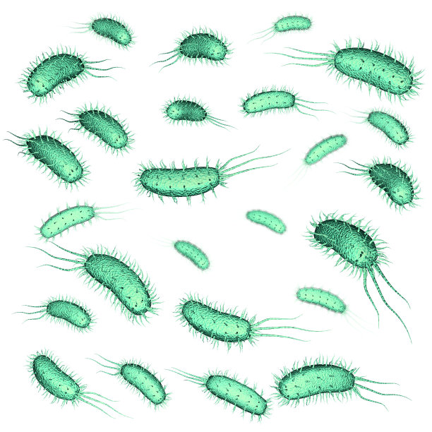 细菌图片素材ID：304124958