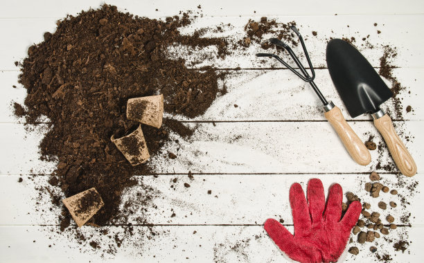 园艺工具俯视图上的白色木板背景图片下载