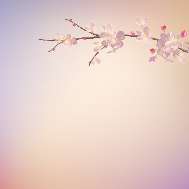 春季樱花素材图片