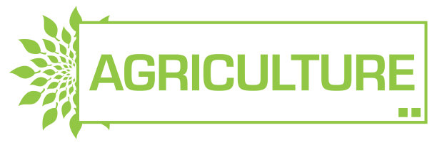 农业叶圆条图片下载