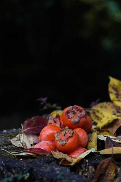 柿子图片下载