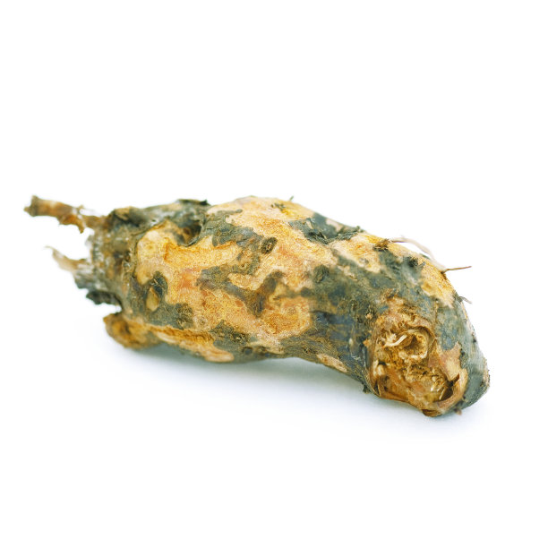 痛苦的新鲜根图片下载