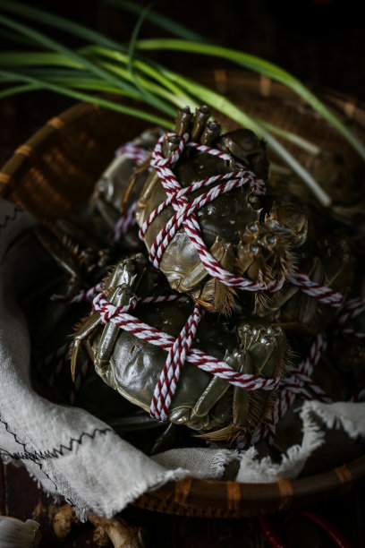 中国的螃蟹素材图片