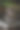中国的螃蟹素材图片