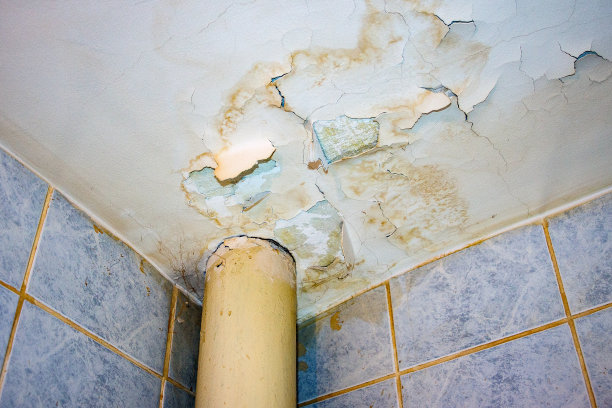 天花板需要修理图片下载