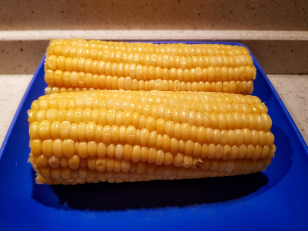蓝色盘子里的玉米图片下载