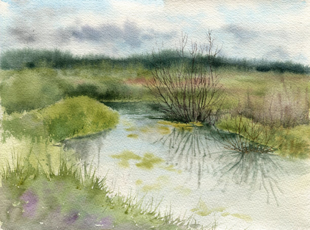 水彩沼泽景观图片下载