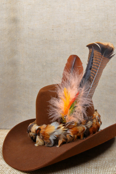 有羽毛的牛仔帽图片下载