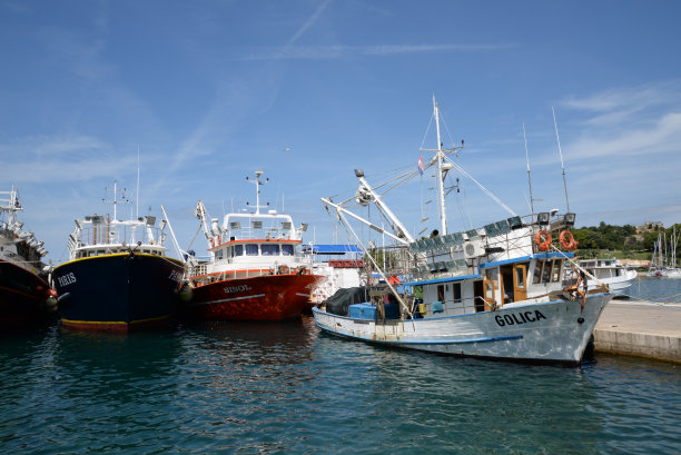 Vrsar,伊斯特里亚,克罗地亚图片下载