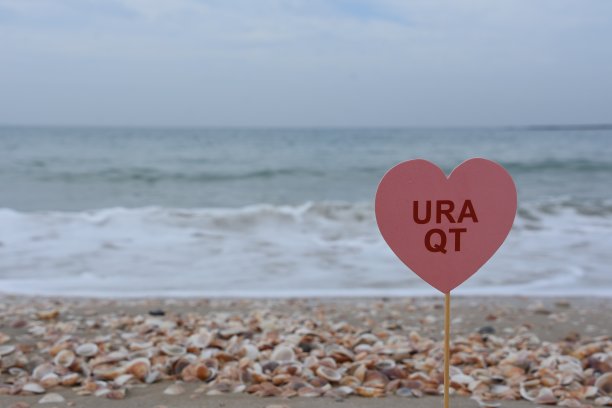 海滩上的婚礼道具图片下载