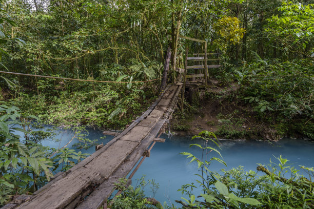 横跨热带雨林河流的人行桥图片下载