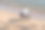 一个女人带着婴儿在沙滩上画了一个心形图片下载