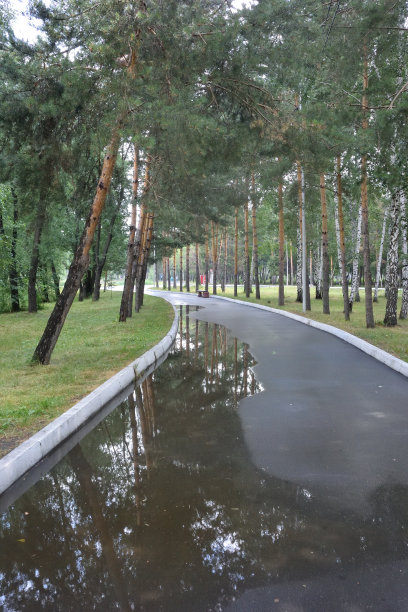 雨后的城市公园小巷，鄂木斯克地区，俄罗斯图片下载
