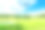 草坪图片素材ID：304189548