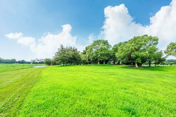 草坪图片素材ID：304189614