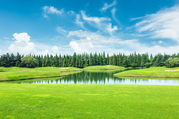 绿色的草地，树木和池塘景观的自然公园图片下载