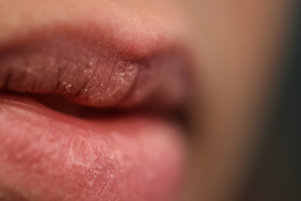 女人美丽柔软的嘴唇图片下载