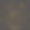 支付的概念图片下载