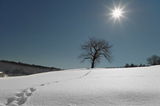 月光下的白色风景图片下载