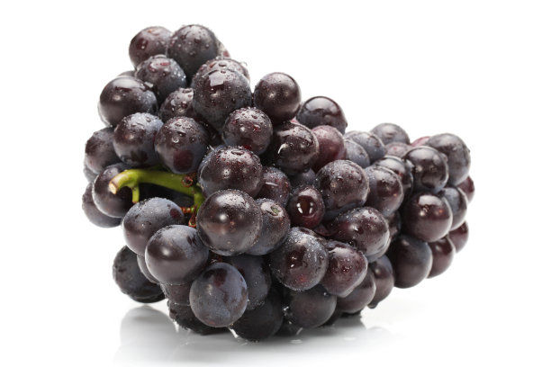 白色背景上的黑葡萄图片下载
