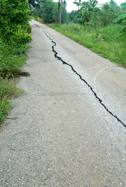 山脊是森林草的纵侧。图片下载