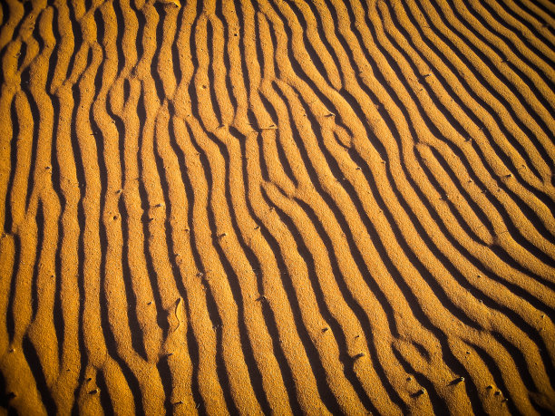 撒哈拉沙漠沙图片下载