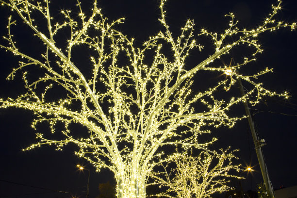 圣诞节(新年假期)装饰在莫斯科(晚上)，俄罗斯图片下载