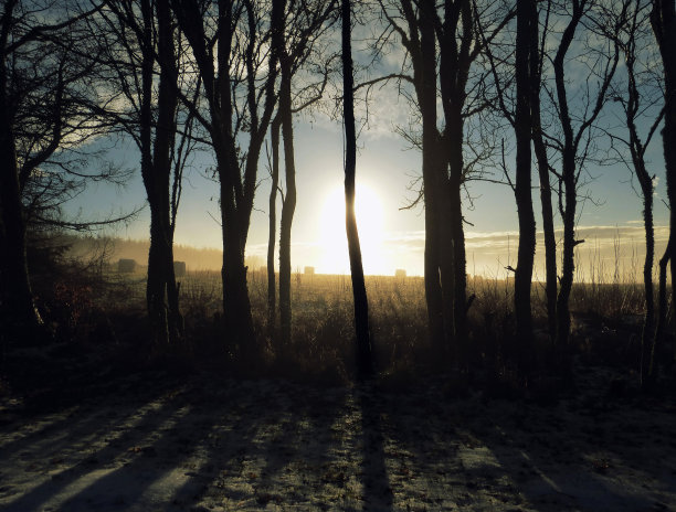 乡村的冬天的早晨图片下载