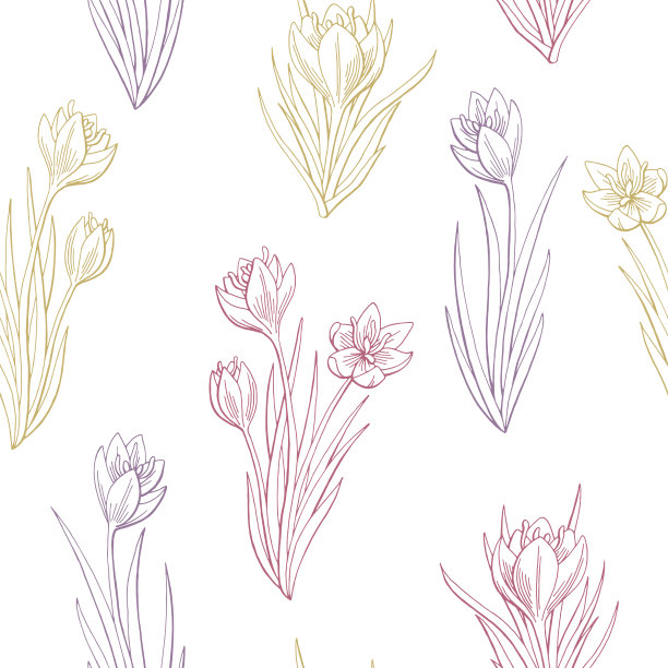 藏红花图片素材ID：304240632