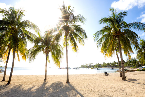 海边图片素材ID：304242642