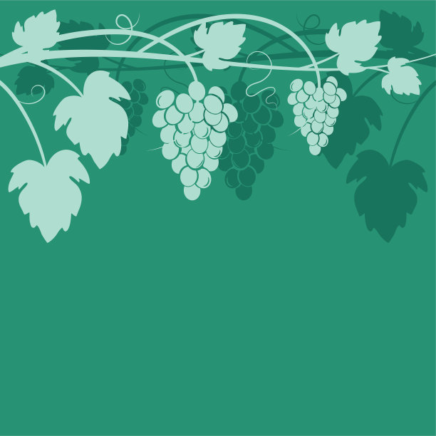 葡萄葡萄酒背景图片下载