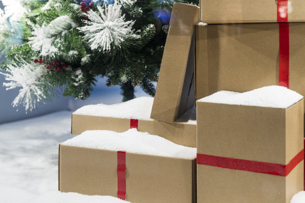 元旦派对图片素材ID：304256952