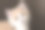 奶油白色的缅因猫在黑暗的背景下的肖像图片下载