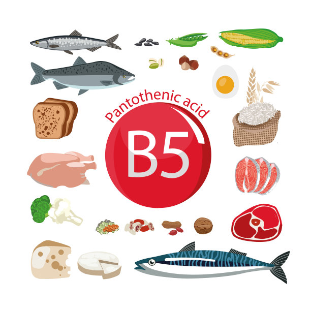 维生素B5(泛酸)。图片下载