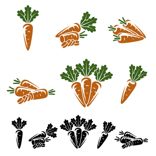 胡萝卜。向量图片下载