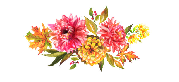 美丽的水彩花为您设计图片下载