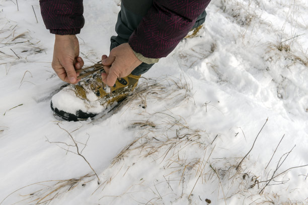 冬季步行者系鞋带，Primorska，斯洛文尼亚，斯洛文尼亚，欧洲图片下载